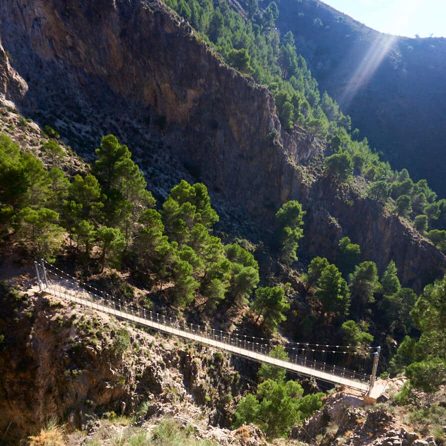El Saltillo Suspension Bridge (Canillas de Aceituno)