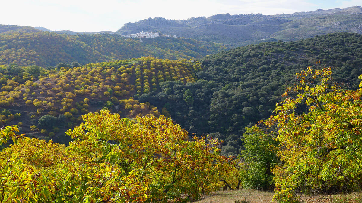 Views across the valley of the village of Cartijima in the distance