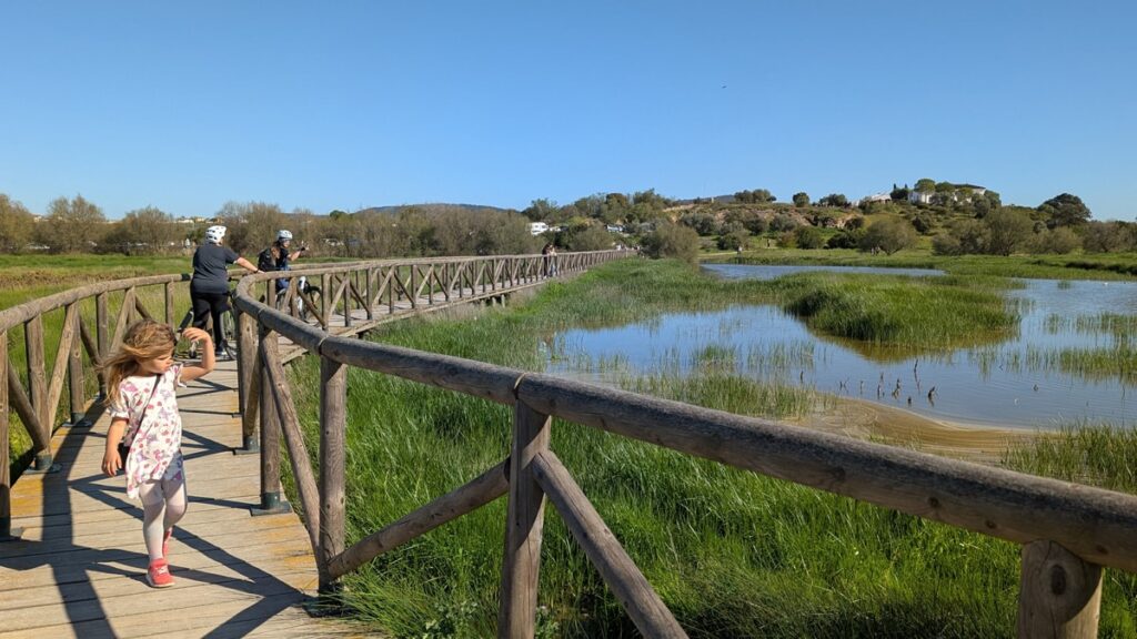 Wooden walkway over the lagoon in Fuente de Piedra
