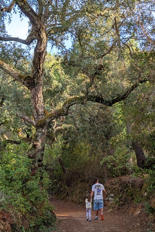 Hiking: Jabugo de Cuento