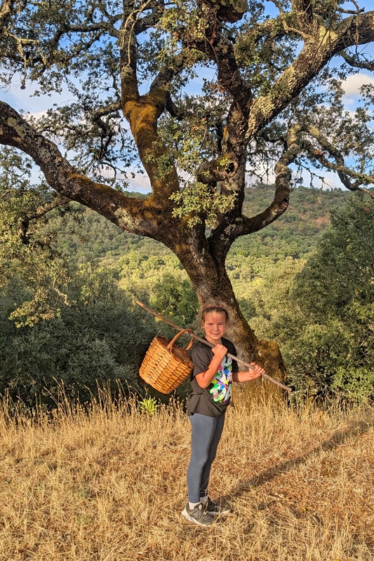 Nature Space Jabugo