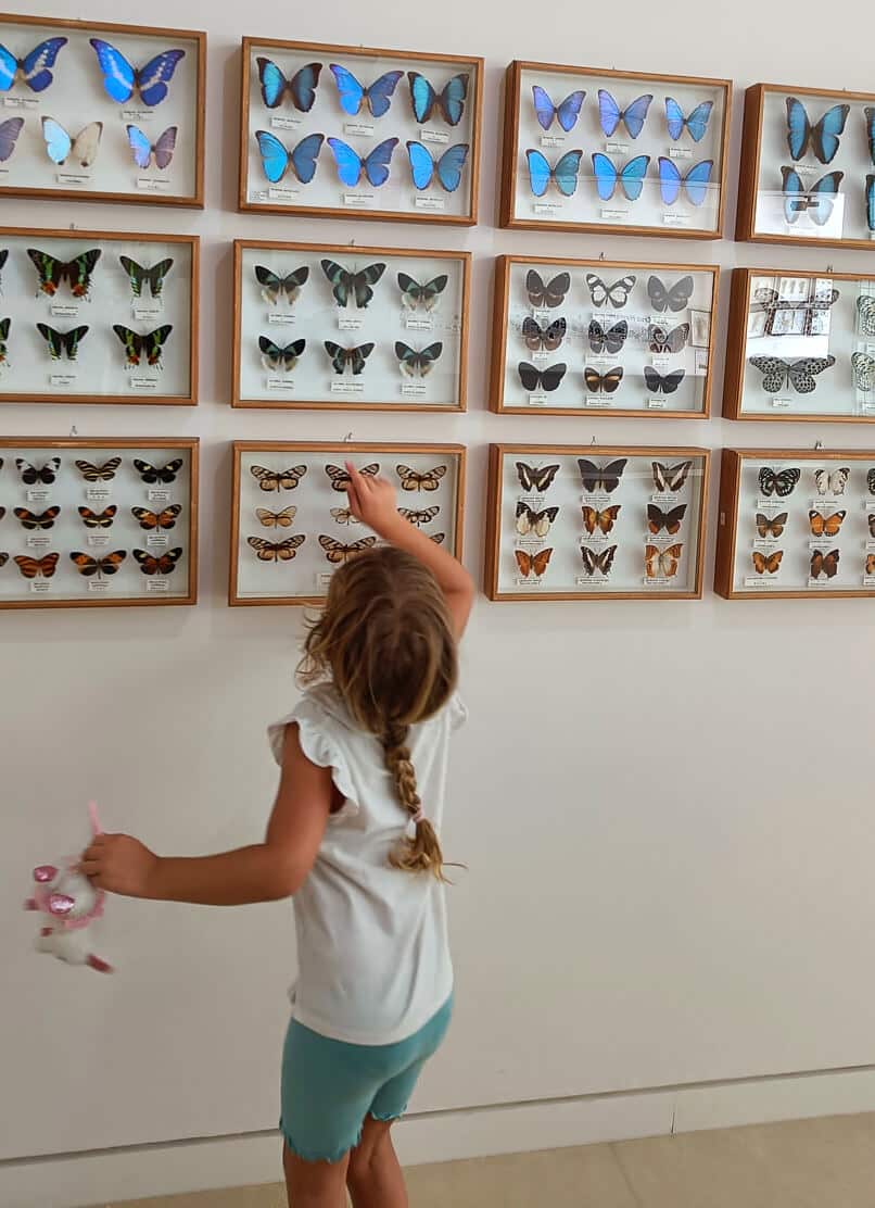 Cruz Herrera Museum, La Línea de la Concepción