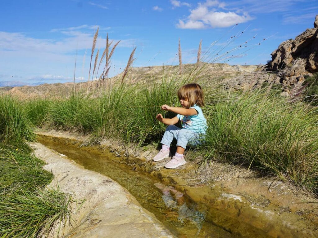 Acequia del Toril and Alicún Thermal Springs