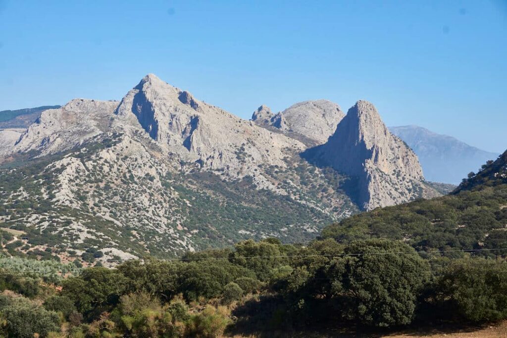 Pyrenees of the Costa del Sol